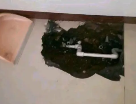 直辖县级行政区划卫生间测漏水多少钱
